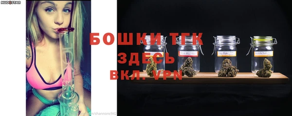 твердый Пересвет