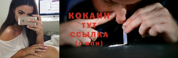 твердый Пересвет