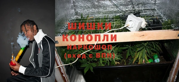 твердый Пересвет