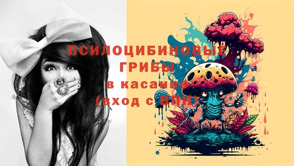 индика Осинники