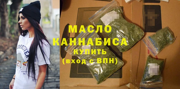 индика Осинники