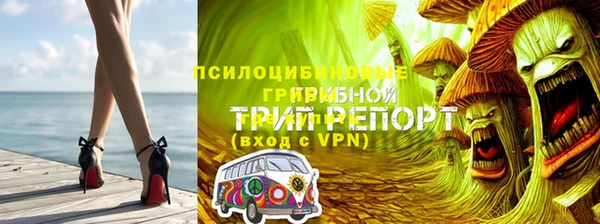 крисы Осташков