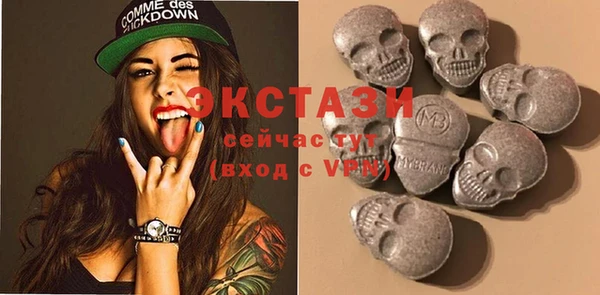 индика Осинники