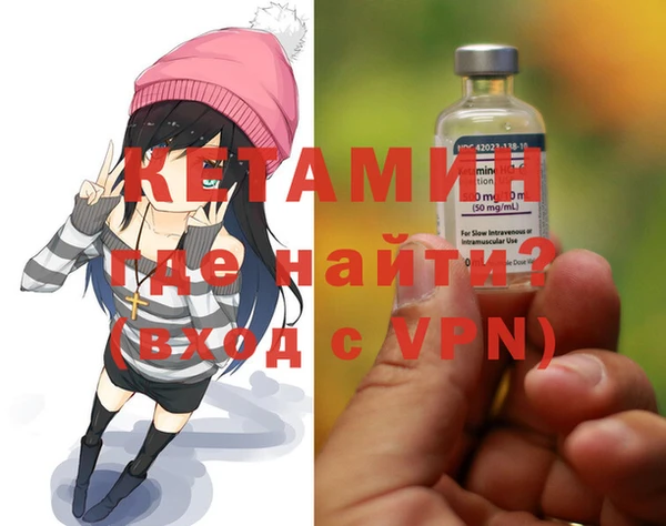 индика Осинники