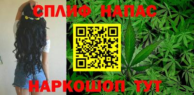 дживик Берёзовский