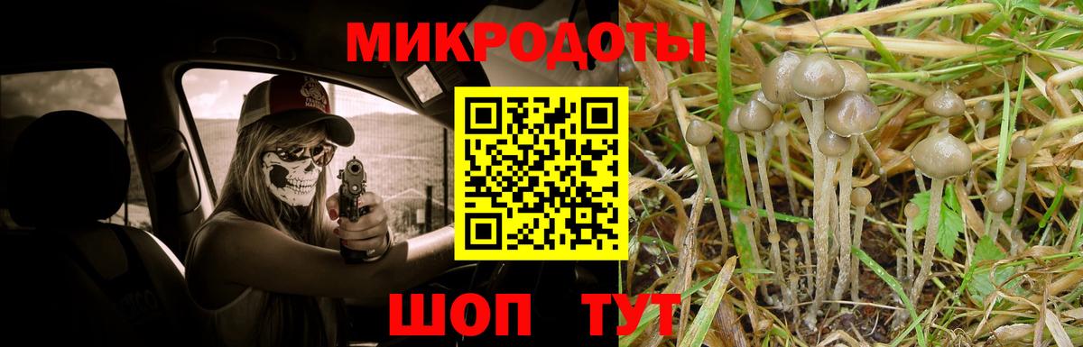 Псилоцибиновые грибы GOLDEN TEACHER Истра