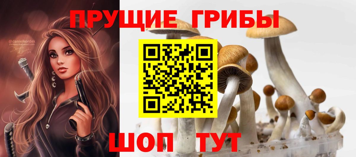 Псилоцибиновые грибы ЛСД  Вход с VPN  Истра 