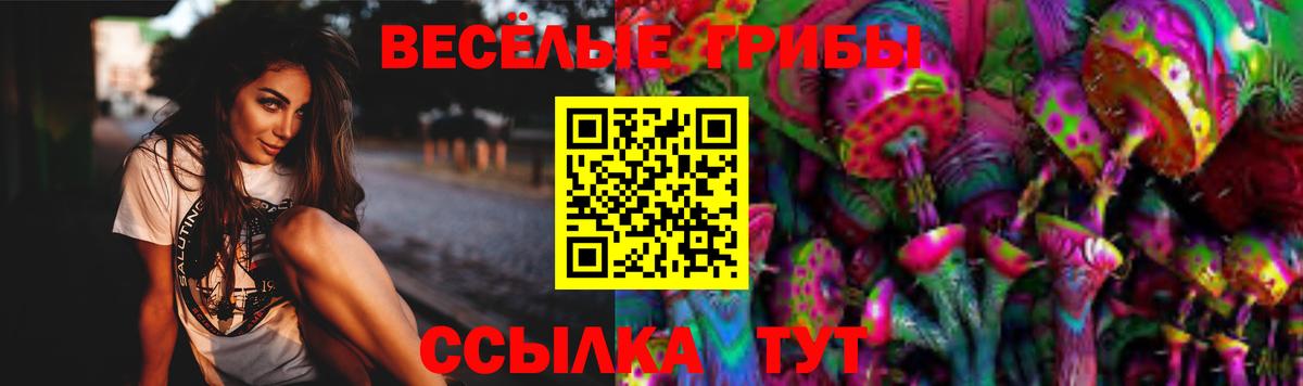 Галлюциногенные грибы Magic Shrooms  Галлюциногенные грибы Cubensis  Истра 